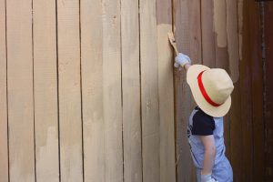 Painting Wooden Fences